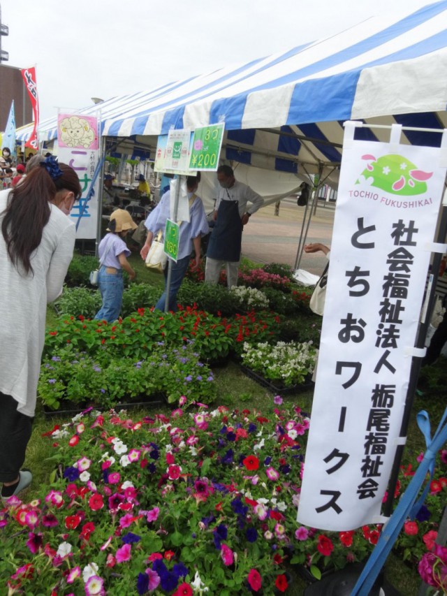 イベント花フェア参加