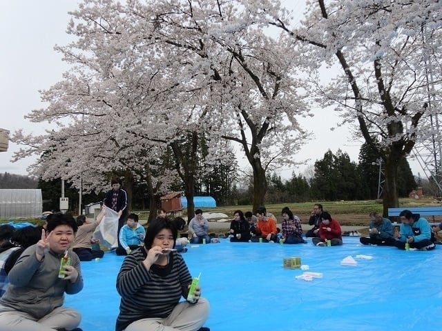 お花見